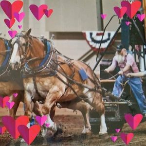 Meet your Posher, Davida